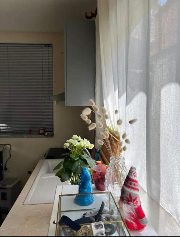 Brilant Studio Apartment City Center Tiran Dış mekan fotoğraf